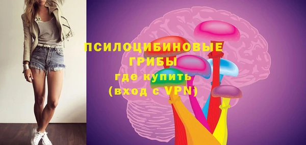 не бодяженный Верхний Тагил