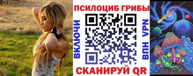 купить Печора Галлюциногенные грибы мицелий
